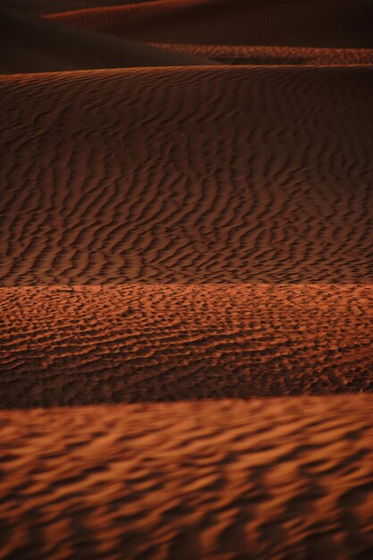 Foto fotografía completa del desierto