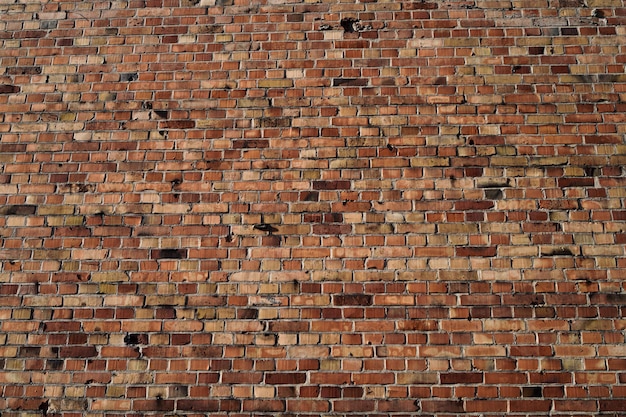 Fotografia completa do edifício de parede de tijolos