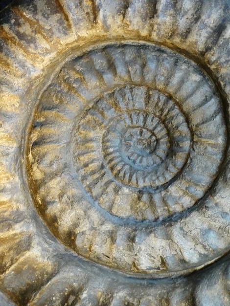 Fotografía completa de la escalera en espiral