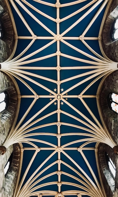 Fotografía completa de la estructura construida