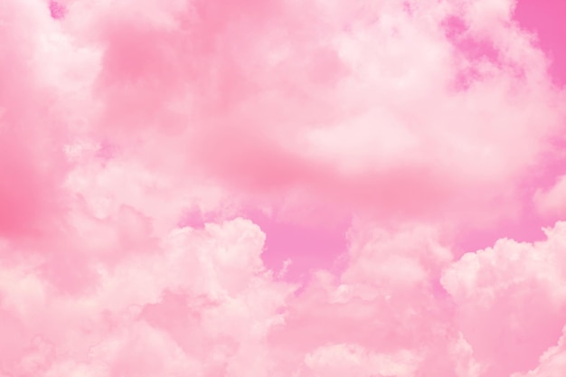 Foto fotografía completa de la flor rosada contra el cielo