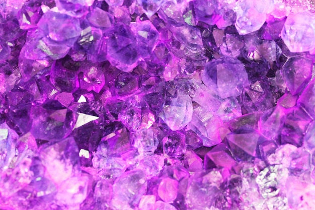 Foto fotografía completa de las flores púrpuras