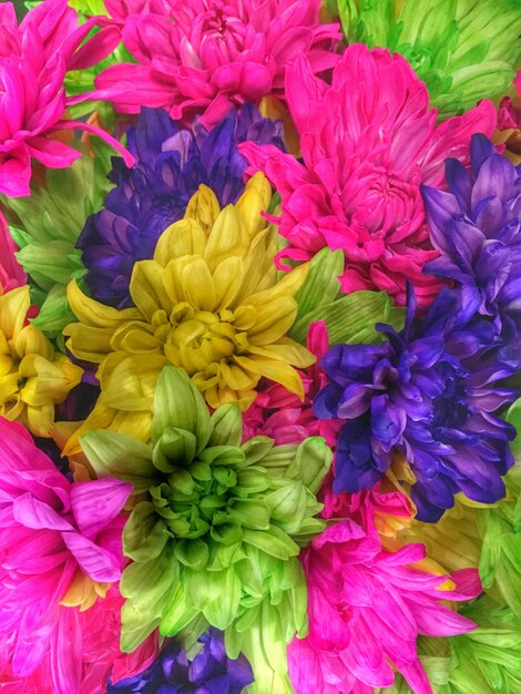 Foto fotografía completa de las flores de varios colores