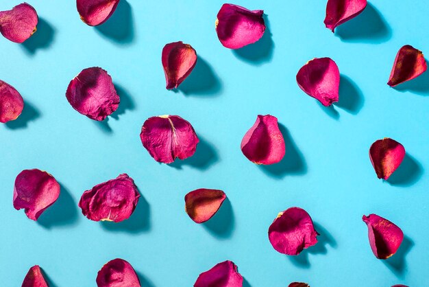 Foto fotografía completa en forma de corazón sobre un fondo de color