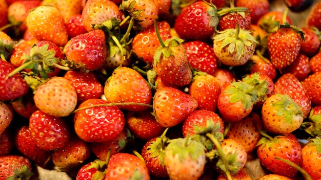 Foto fotografía completa de las fresas