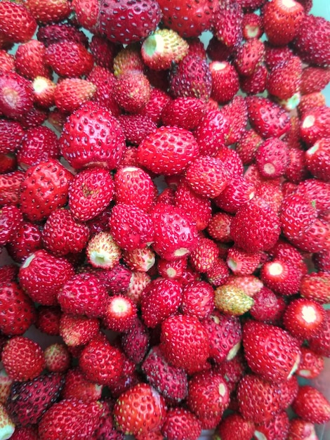 Fotografía completa de las fresas