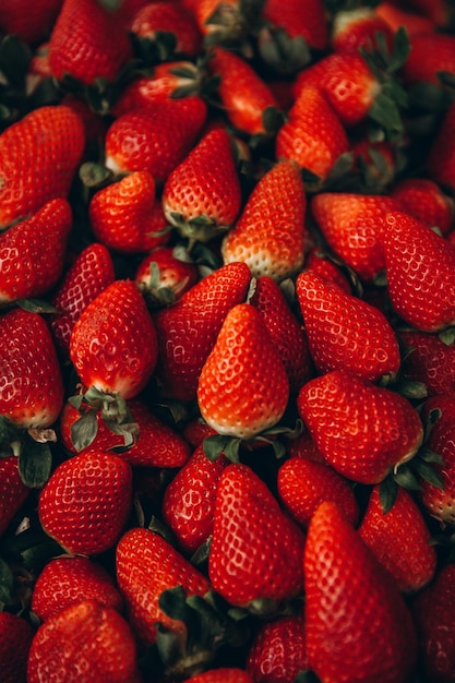 Foto fotografía completa de las fresas