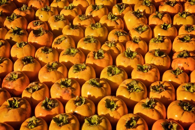 Foto fotografía completa de las frutas de la naranja