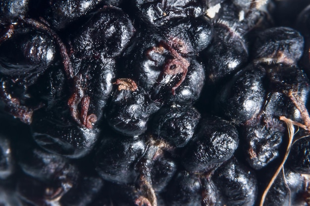 Foto fotografía completa de las frutas