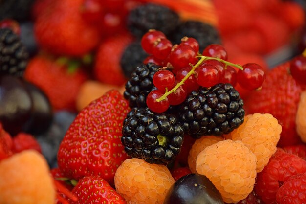 Foto fotografía completa de las frutas