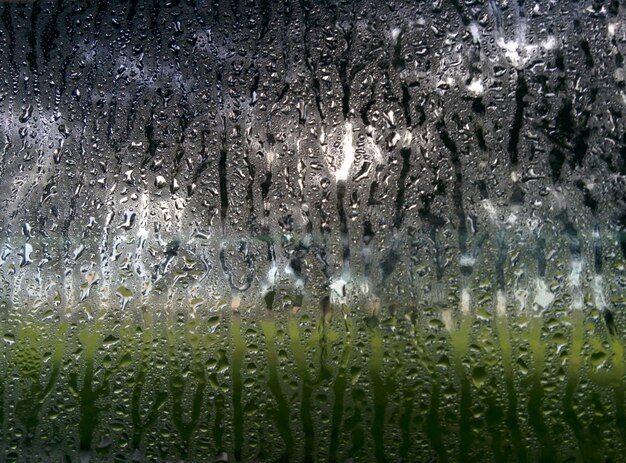 Fotografía completa de gotas de agua en el césped