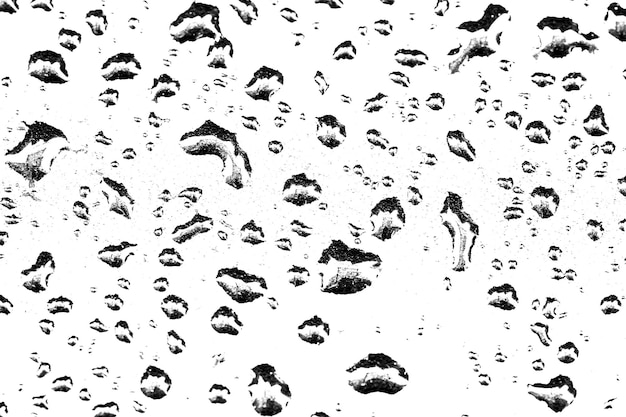 Fotografía completa de gotas de agua en un día de lluvia