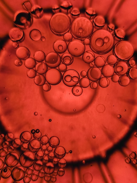 Fotografía completa de las gotas de agua