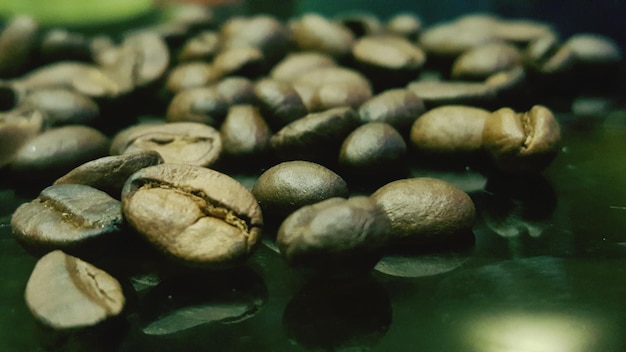 Foto fotografía completa de las hojas verdes frescas