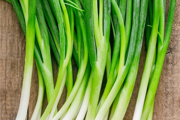 Foto fotografía completa de hojas verdes frescas