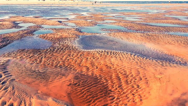 Fotografía completa de las huellas de los neumáticos en la arena de la playa