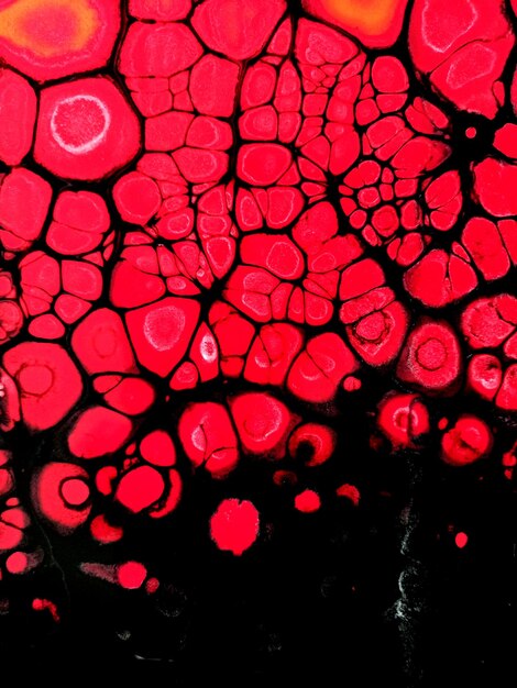 Fotografía completa de las luces iluminadas