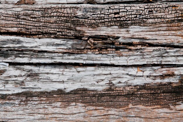 Foto fotografía completa de madera desgastada por el tiempo