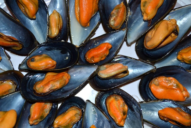 Fotografía completa de los mariscos