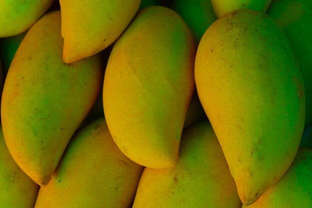 Foto fotografía completa de las naranjas