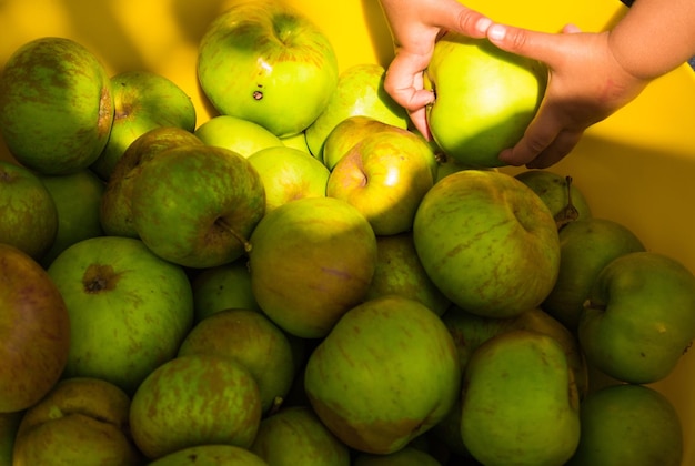 Foto fotografía completa de las naranjas