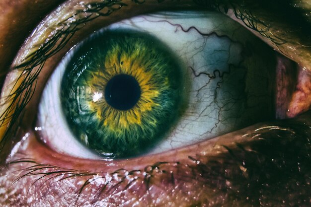 Fotografía completa del ojo humano