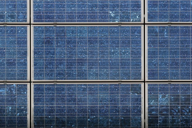 Fotografía completa de los paneles solares