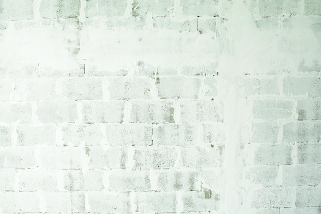 Fotografía completa de la pared blanca
