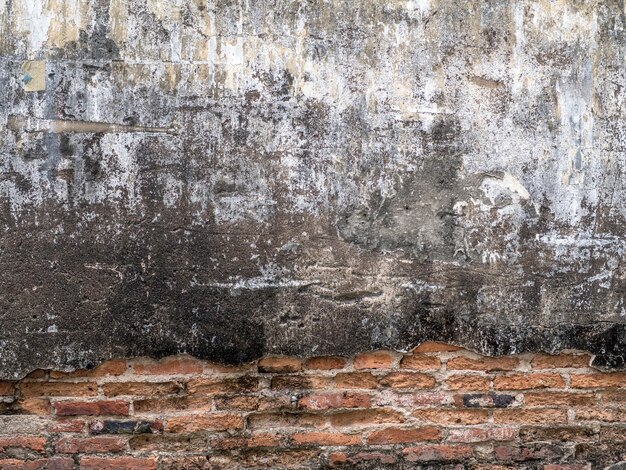 Foto fotografía completa de la pared desgastada por el tiempo