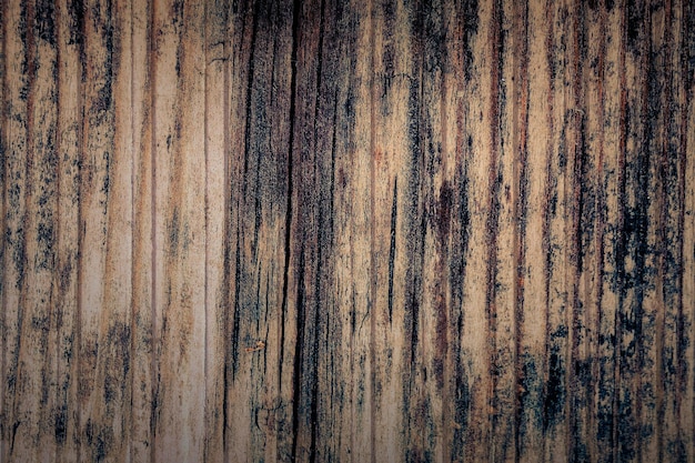 Foto fotografía completa de la pared de madera