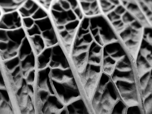 Fotografía completa de un patrón abstracto