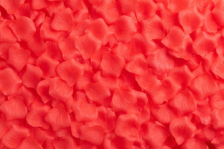 Foto fotografía completa de los pétalos rojos