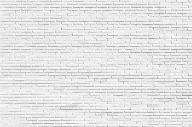 Fotografía completa del piso de azulejos