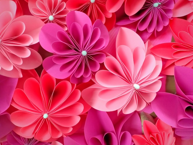 Fotografía completa de las plantas con flores rosas