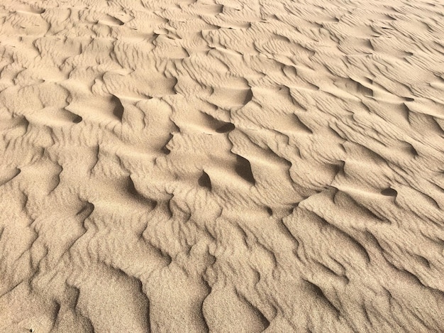 Fotografía completa de la playa de arena