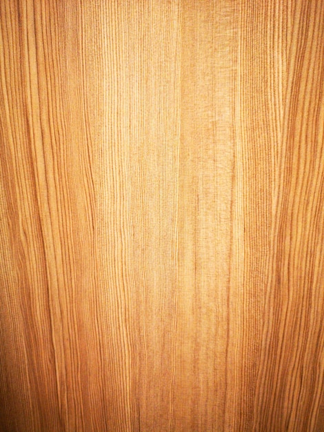 Fotografía completa de la puerta de madera