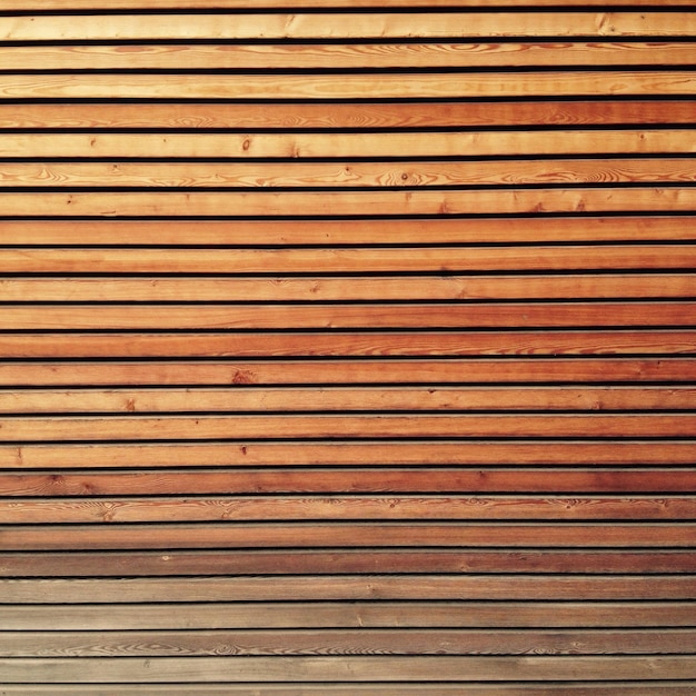 Fotografía completa de la puerta de madera