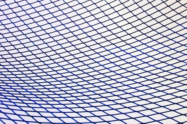 Fotografía completa de la red azul