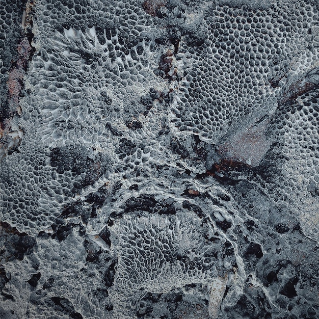 Fotografía completa de la roca durante el invierno