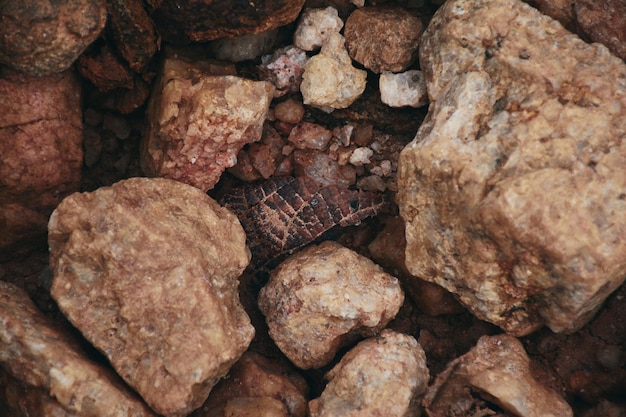 Foto fotografía completa de las rocas