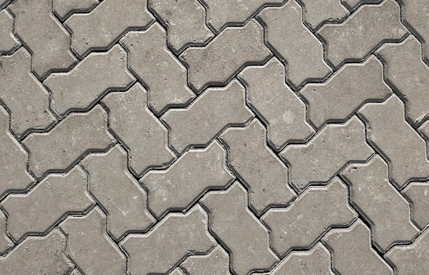 Fotografía completa de un sendero pavimentado