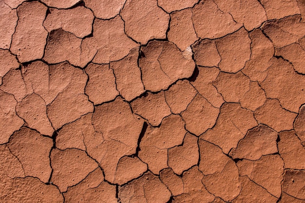 Fotografía completa de la tierra agrietada