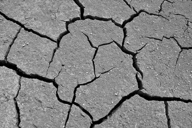 Fotografía completa de la tierra agrietada