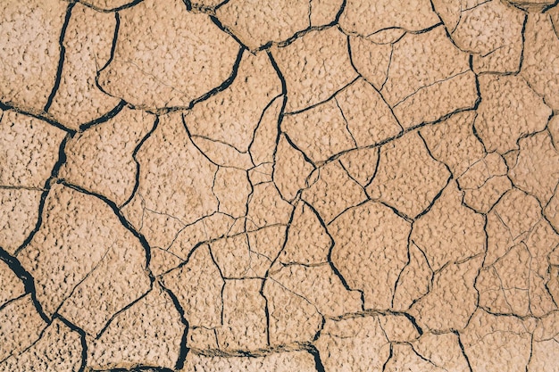 Foto fotografía completa de la tierra agrietada