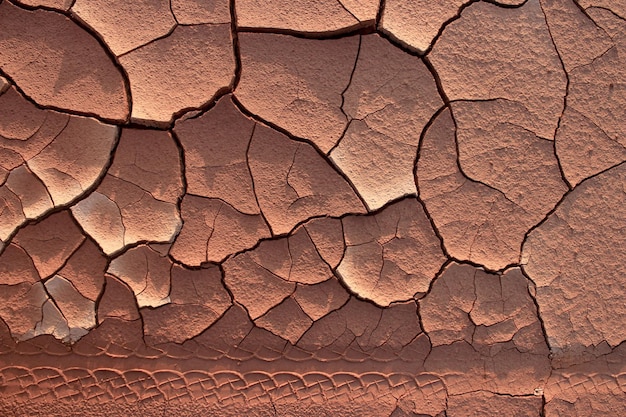 Fotografía completa de la tierra agrietada