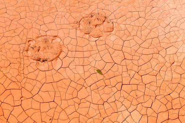 Foto fotografía completa de la tierra agrietada