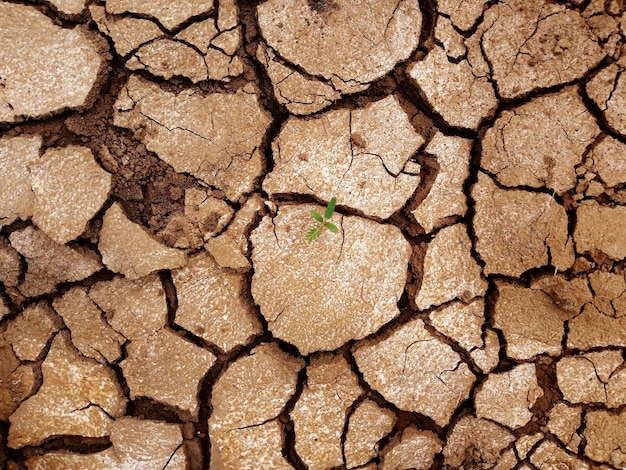 Fotografía completa de la tierra seca