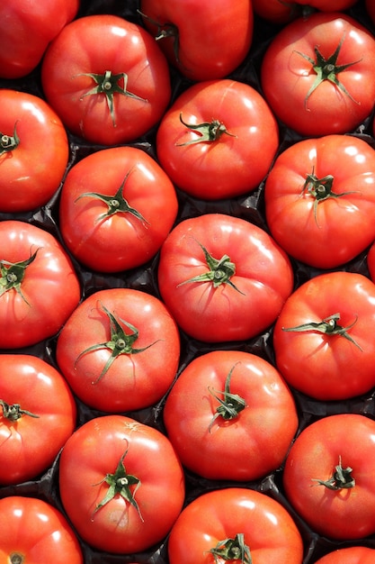 Fotografía completa de tomates en una caja