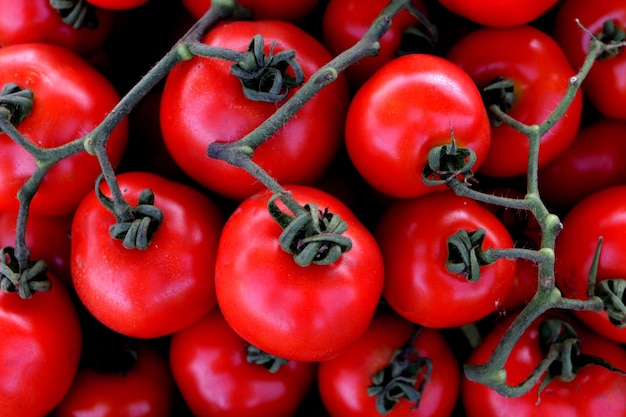 Fotografía completa de los tomates cereza