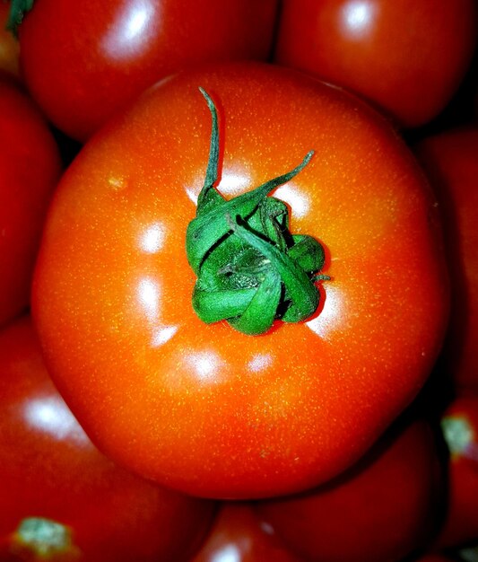 Foto fotografía completa de tomates frescos